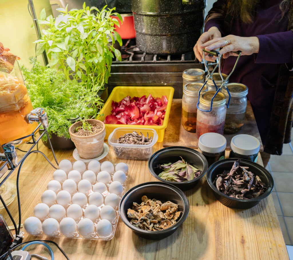 A person working with jars filled with liquid in the process of extracting natural dye from different organic matter including leaves, onion skins, and mushrooms. There is a large tray of white-shelled eggs on the counter along with other plants.