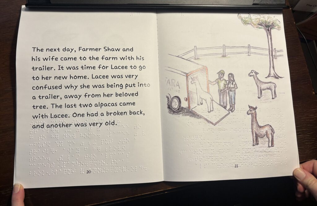 An open book featuring a hand-drawn image of a two people and three alpacas near a trailer. Text on the page includes printed and embossed braille writing. The setting is a farm, with a tree and fence in the background. The tone is calm and portrays a scene of gentle transition.