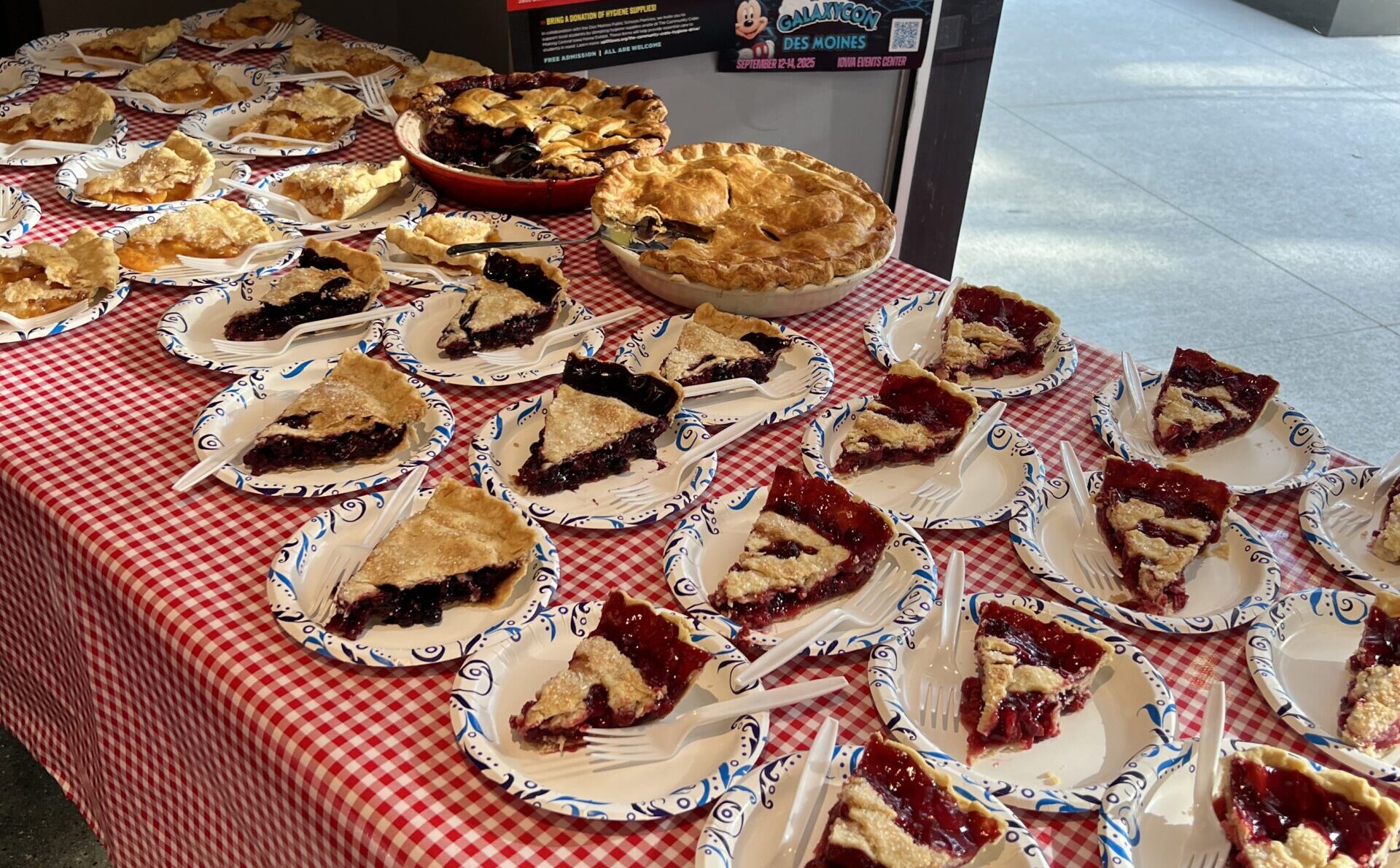 Dozens of paper plates with slices of cherry and blueberry pie are arranged on a red gingham-covered table.