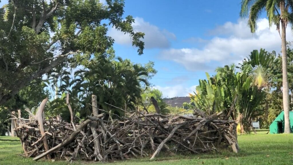 Branches and sticks piled together in a deliberate fashion, under palm trees and blue sky.