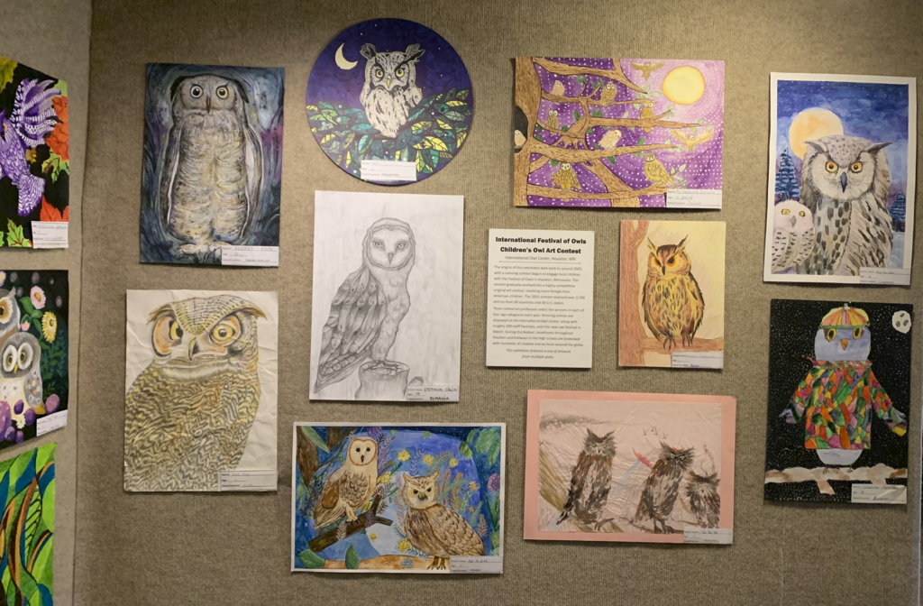 Several owl-themed art pieces on a gallery wall.