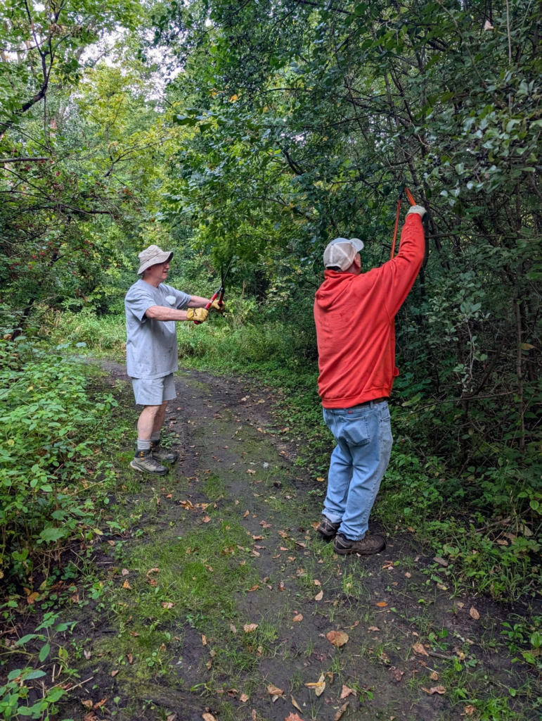 Two people standing outdoors by a path with overgrown trees and bushes. They are both holding shears, cutting back the branches.