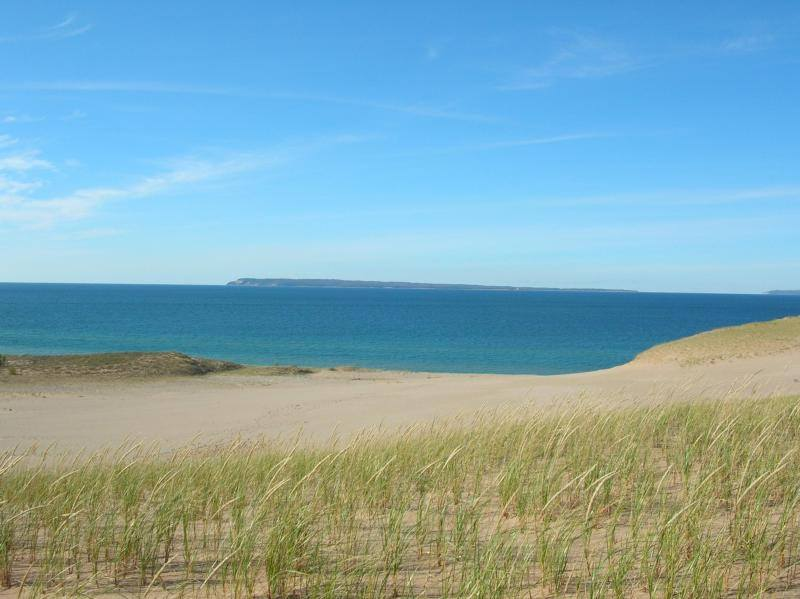 A lakeshore with dunes.